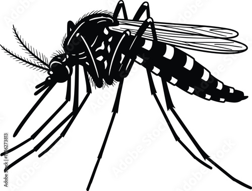 Mosquito insect silhouette isolated on white background for pest control, disease transmission, dengue and malaria prevention concepts in medical and environmental design