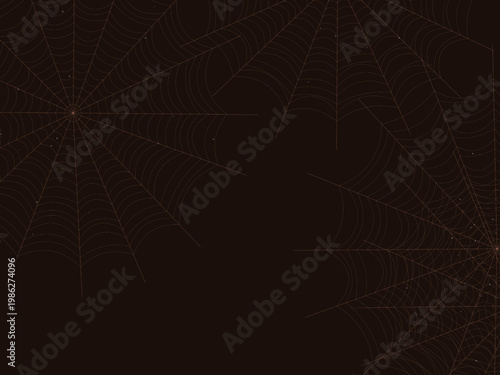 Radial Spider Web Cobweb Silk Thread Design