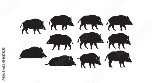Wild boar silhouette collection vector illustration pig hog animal farm wildlife background design sign symbol.