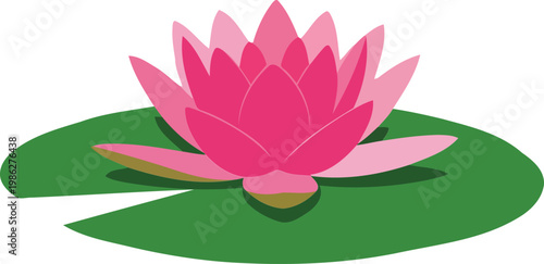 Pink lotus flower on green lily pad white background 1