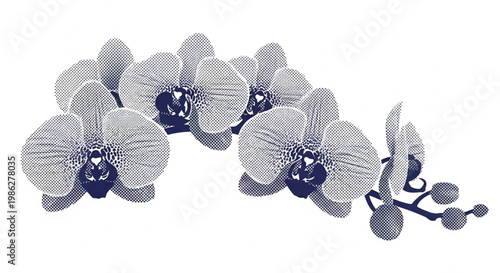 Monochromatic orchid flowers, blue and white floral arrangement, elegant botanical illustration, decorative vector graphics