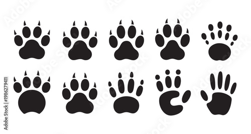 Paw print vector bear dog icon footprint logo cartoon wolf kitten vector character doodle