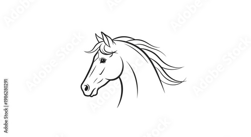 a black and white drawing of a horse.