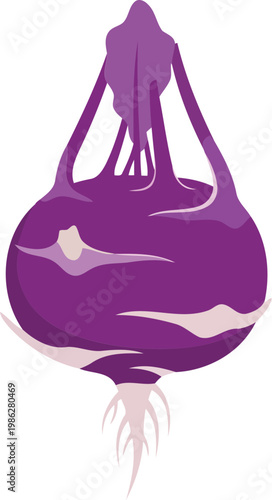 Purple Onion vegetable root vegetable white background