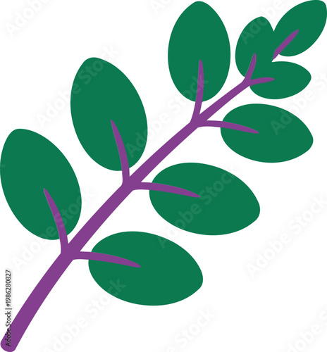 Purple stem with green leaves on white background leaf