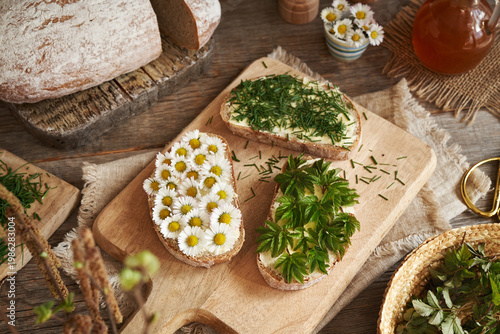 Three slices of bread with spring wild edible plants - ground elder, common daisy and crow garlic