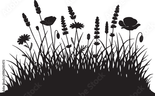 Black silhouette of wildflowers and grass vector
