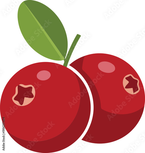 Two Red Berries with Green Leaf fruit food healthy
