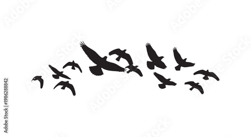 Flock of birds flying in formation silhouette against white background vector illustration nature.