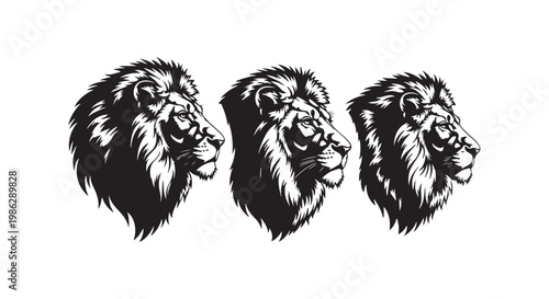 Lion head silhouette portraits with majestic mane details for wildlife and animal conservation concepts vector graphics.