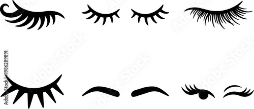 Black eyelashes and eyebrow vector illustration set on white background
