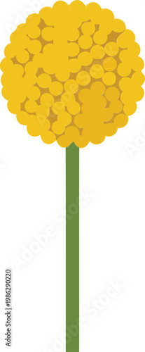 Yellow Dandelion Flower on Green Stem yellow flower