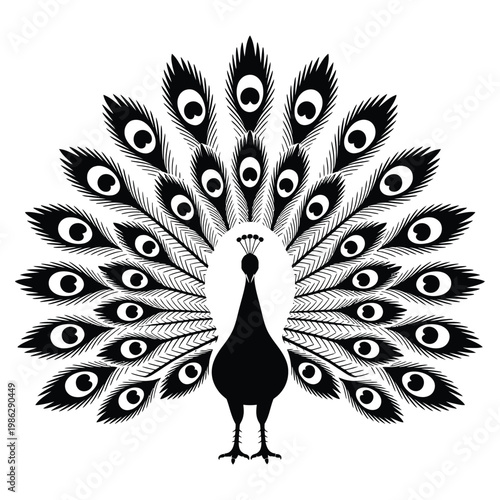 An elegant black peacock displays its ornate plumage in a striking silhouette