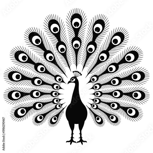 An intricately detailed peacock displays its vibrant plumage in a striking silhouette