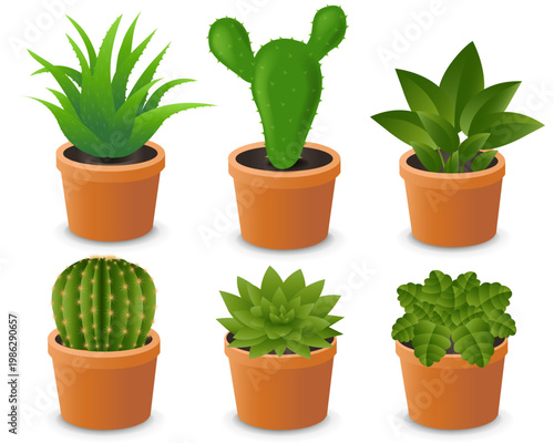 House Flower In Pot Big Set Isolated White Background