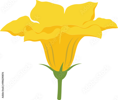 Yellow Flower with Green Stem floral nature 1 plant