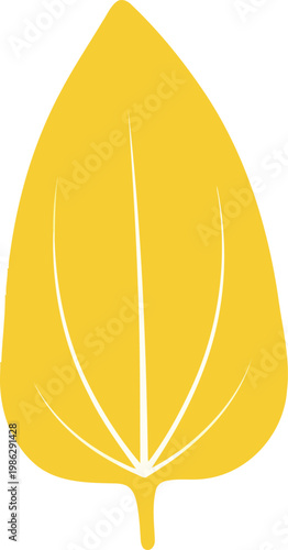 Yellow Leaf simple leaf white background nature botanical leaf shape