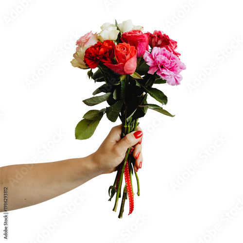 Woman's hand holding a beautiful flower bouquet of colorful roses and carnations on Isolated on Transparent Background.