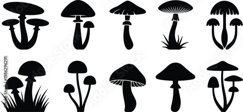 Collection of Black Mushroom Silhouettes on Transparent Background