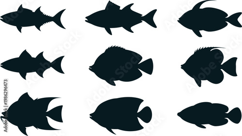 Collection of diverse fish silhouettes isolated on transparent background