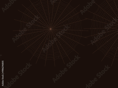 Delicate Spider Web Pattern Geometric Background