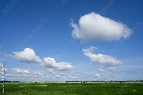 Vast Green Meadow Under Blue Sky with Clouds