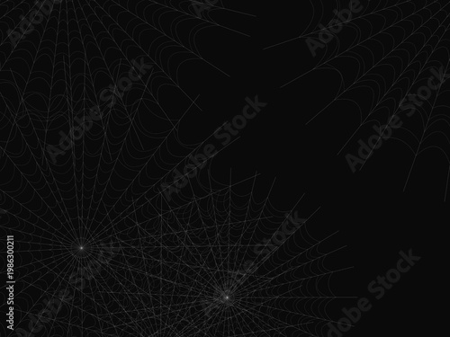 Cobweb Spider Silk Thread Geometric Pattern Design