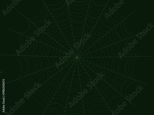 Spider Web Cobweb Silk Pattern Radial Background