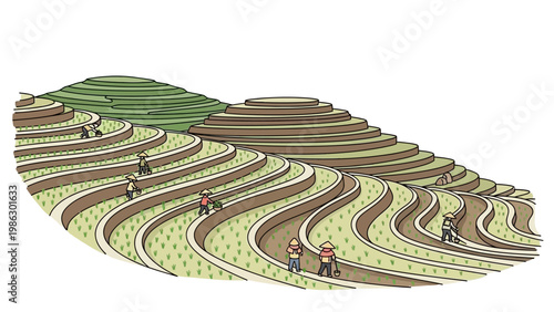 Stylized vector illustration showing farmers tending to rice paddies on terraced hillsides, with a clean background and a focus on the layered agricultural design, conveying a sense