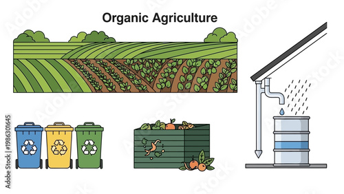 Clean vector illustration showcasing sustainable agriculture and composting, with vibrant colors and simple line art, depicting rice paddies, secondary crops, and recycling bins