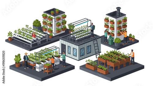 Isometric vector art depicts people involved in urban agriculture, tending to secondary crops and vegetable gardens on rooftops and raised beds in a business promoting sustainable farming