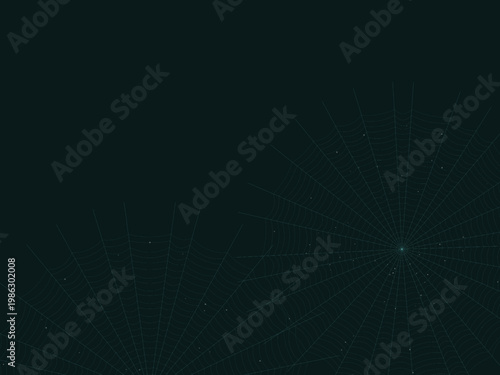 Spider Web Cobweb Silk Pattern Radial Background