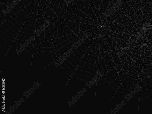 Spider Web Cobweb Silk Pattern Radial Background