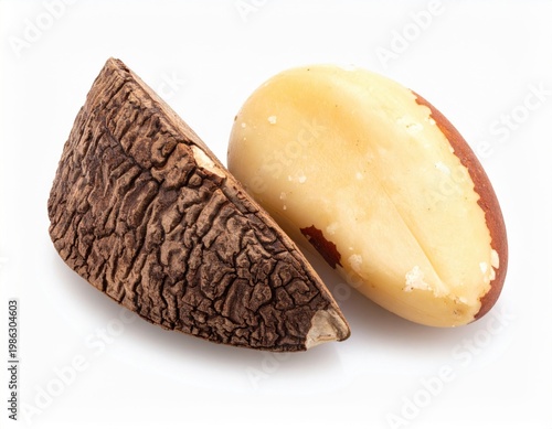 Detailed studio image shows one Brazil nut in its rough brown shell and another fresh, ready to eat nut completely shelled, against a pure white backdrop