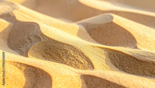 Warm golden sunlight illuminates the intricate patterns and natural textures of rippling desert sand dunes creating beautiful organic forms and gentle shadows