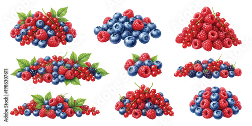 Watercolor fresh mixed berries, raspberries currants and bramble fruit arranged in small piles with foliage, isolated on transparent background