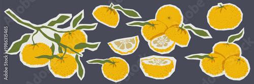 Hand drawn yuzu citrus sticker collection with fruits slices and leafy branches in asian style vector illustration with white outline on dark background for packaging logo icon set and food branding