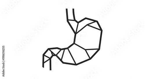 Geometric Stomach Outline, Medical Graphic, Anatomy Icon