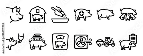 Black line icon set for pig farming and swine husbandry showing feeding, veterinary care, weighing, breeding, and farm equipment in a simple minimalist vector style