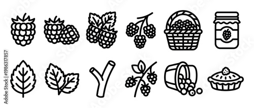 Black and white line art berry icons depict raspberries, leaves, branches, a full basket, a jam jar, a spilling bucket, and a delicious pie, rendered in a clean, minimalist style