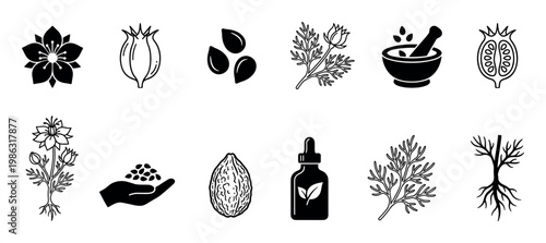 Black seed plant elements and herbal product icons are neatly arranged in a clean, illustrative grid, showcasing various stages and uses of the medicinal plant