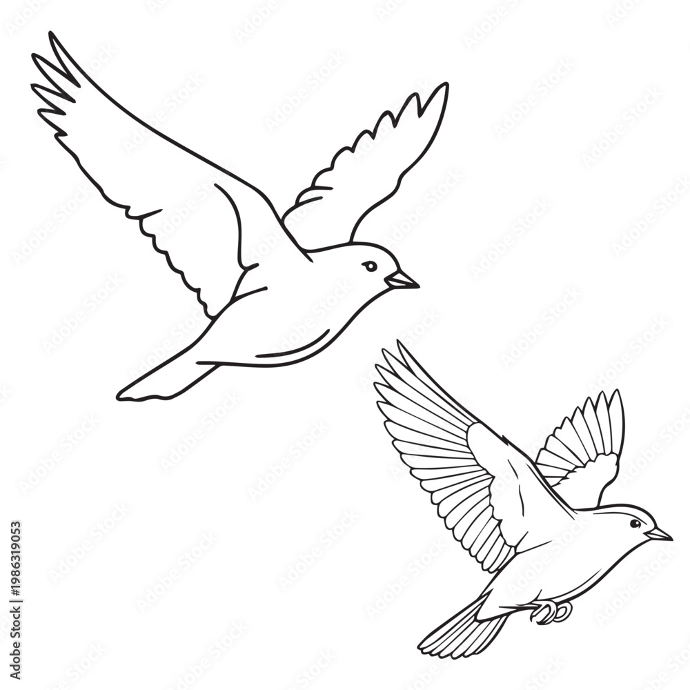 Fototapeta premium Two birds in flight, black outline, white background. vector sparrow drawing.