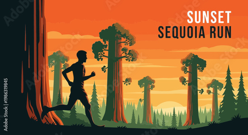 Athletic Endeavor Amidst Majestic Redwood Giants At Dusk