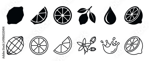 Collection of black and white lemon and citrus fruit icons, featuring whole, sliced, and half fruits, a branch with leaves, a flower, and juice elements in a clean, graphic style