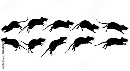 Black Rodents Silhouettes In Motion on White Background, Concept of Movement, Rodent Control