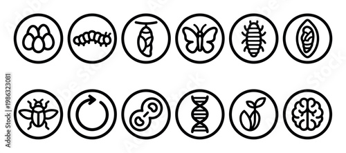 Various biological and scientific outline icons are neatly arranged in a grid, illustrating concepts of life cycles, genetics, and natural processes with a clean, modern aesthetic