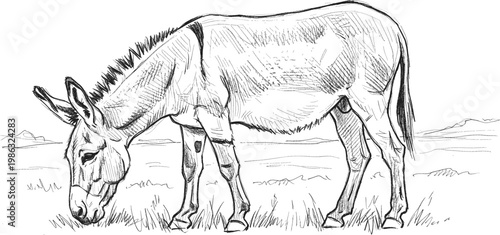 World donkey day celebrating donkeys with a beautiful sketch of a grazing donkey