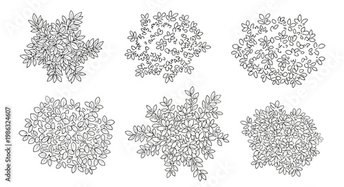 Set of handdrawn top view bushes and shrubs for landscape design