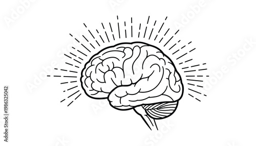 Human brain illustration with radiating lines on white background.