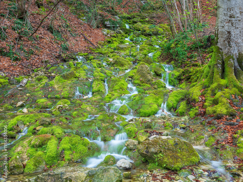 Ein Wildbach fließt über Kalktuff-Terrassen mit Moospolstern, Schwäbische Alb, Baden-Württemberg, Deutschland